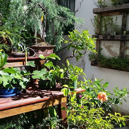 Maison d'hôtes Casa Coïmbre