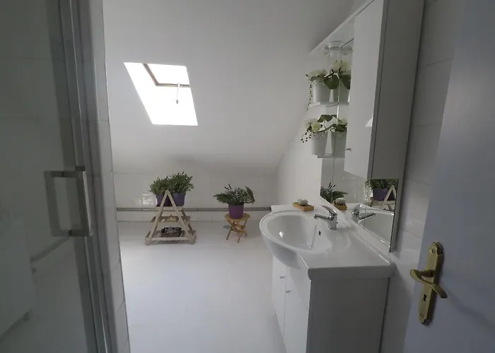 بيت ضيافة Casa