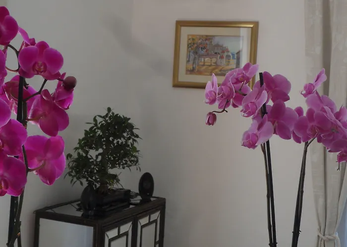 Casa 3* كويمبرا