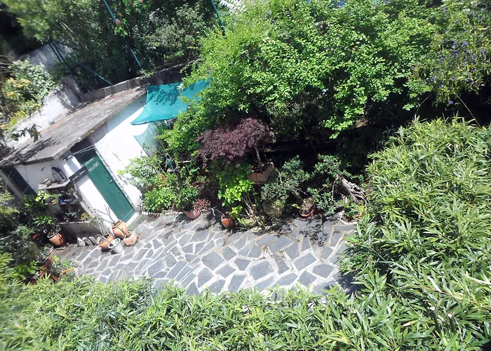 بيت ضيافة Casa 3*