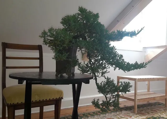 بيت ضيافة Casa كويمبرا