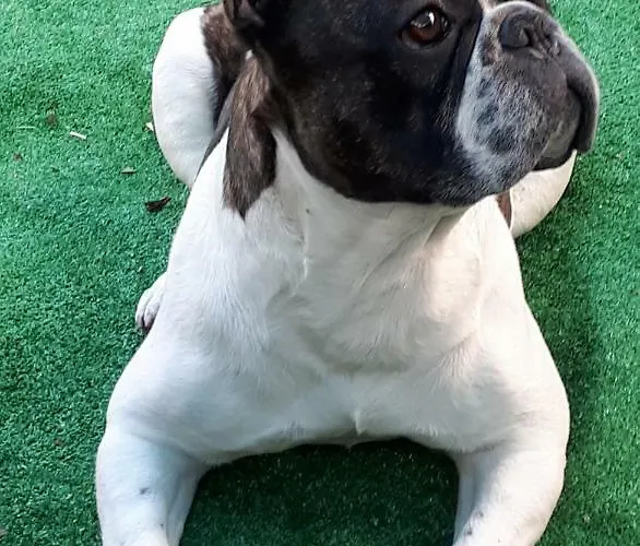 Casa بيت ضيافة