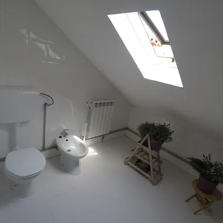 Pensionat Casa Coimbra