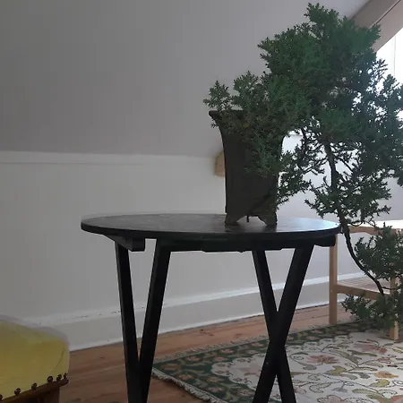 Pensionat Casa Coimbra