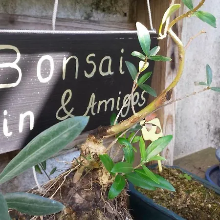 Pensionat Casa Coimbra