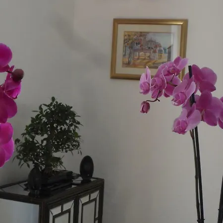 Casa 3* Coimbra