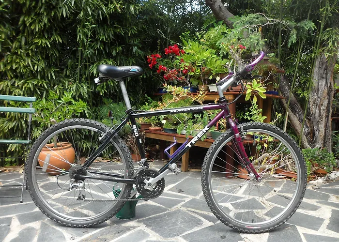 ゲストハウス Casa