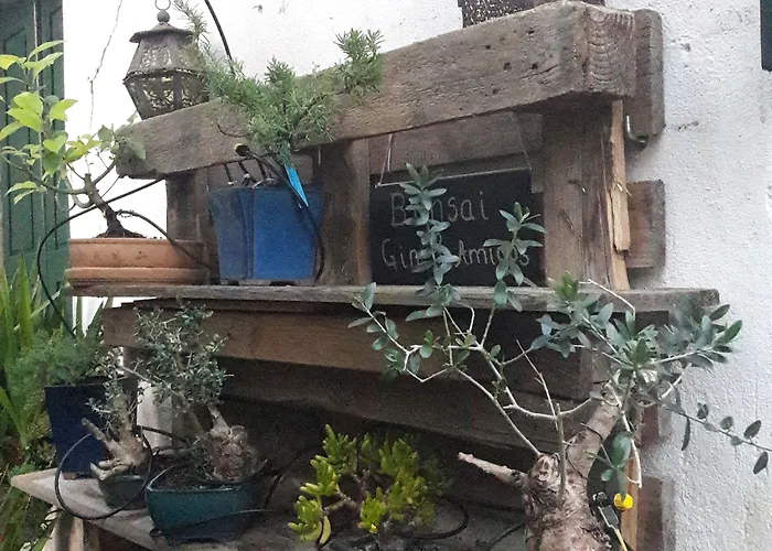 Casa ゲストハウス