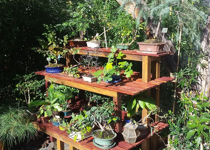 Casa 3* コインブラ