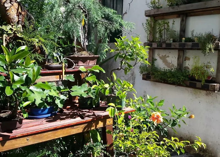 ゲストハウス Casa コインブラ