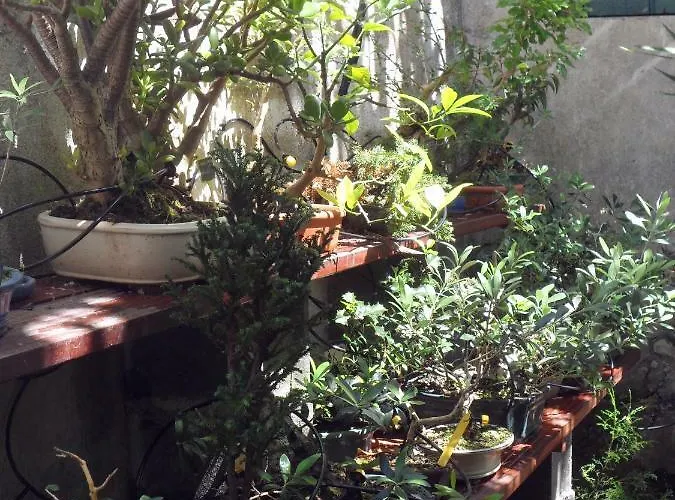 Casa ゲストハウス