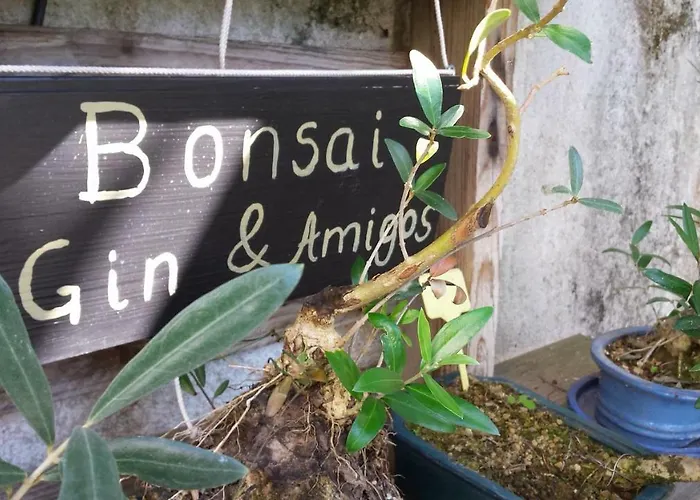 ゲストハウス Casa コインブラ